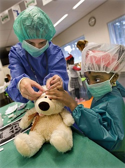 Teddy Bear Hospital